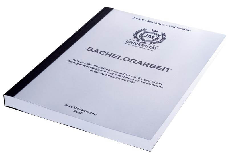 Bachelorarbeit ~ Der gesamte Themenbereich im Überblick