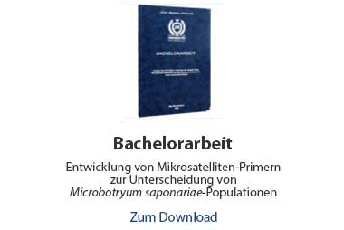 Bachelorarbeit Beispiel Biologie