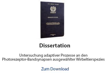 Dissertation/Doktorarbeit Beispiel Biologie