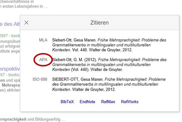 Google Scholar APA