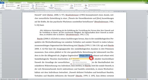 Literaturverzeichnis Word Kontextmenü Kurzverweis