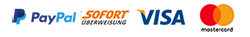 Plagiatsprüfung Zahlungsmethoden