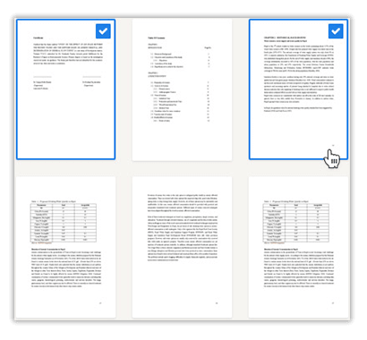 Lektorat Bachelorarbeit Seitenauswahl