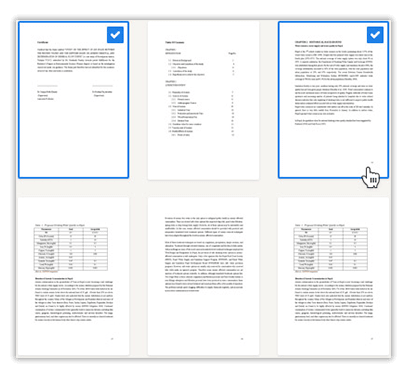 Lektorat Dissertation Seitenauswahl