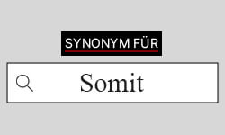 Somit-Synonyme-01