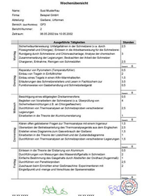 Aufbau-Gliederung-Praktikumsbericht-Wochenbericht-Beispiel