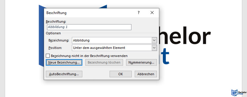 Abbildungsverzeichnis-Word-Beschriftung anpassen