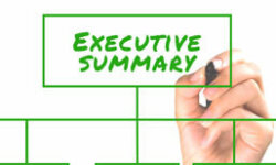 Executive Summary-Definition
