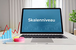 Skalenniveaus-Definition