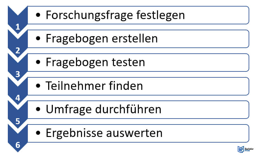 Umfrage durchführen - Ablauf der Umfrage