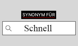 Schnell-01
