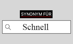 Schnell Synonyme-01