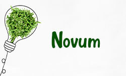 Novum-01