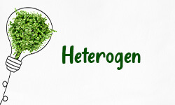 Heterogen-01 Heterogen-01