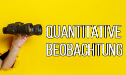 Quantitative-Beobachtung-01