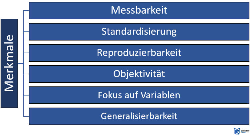 Quantitative-Beobachtung-Merkmale